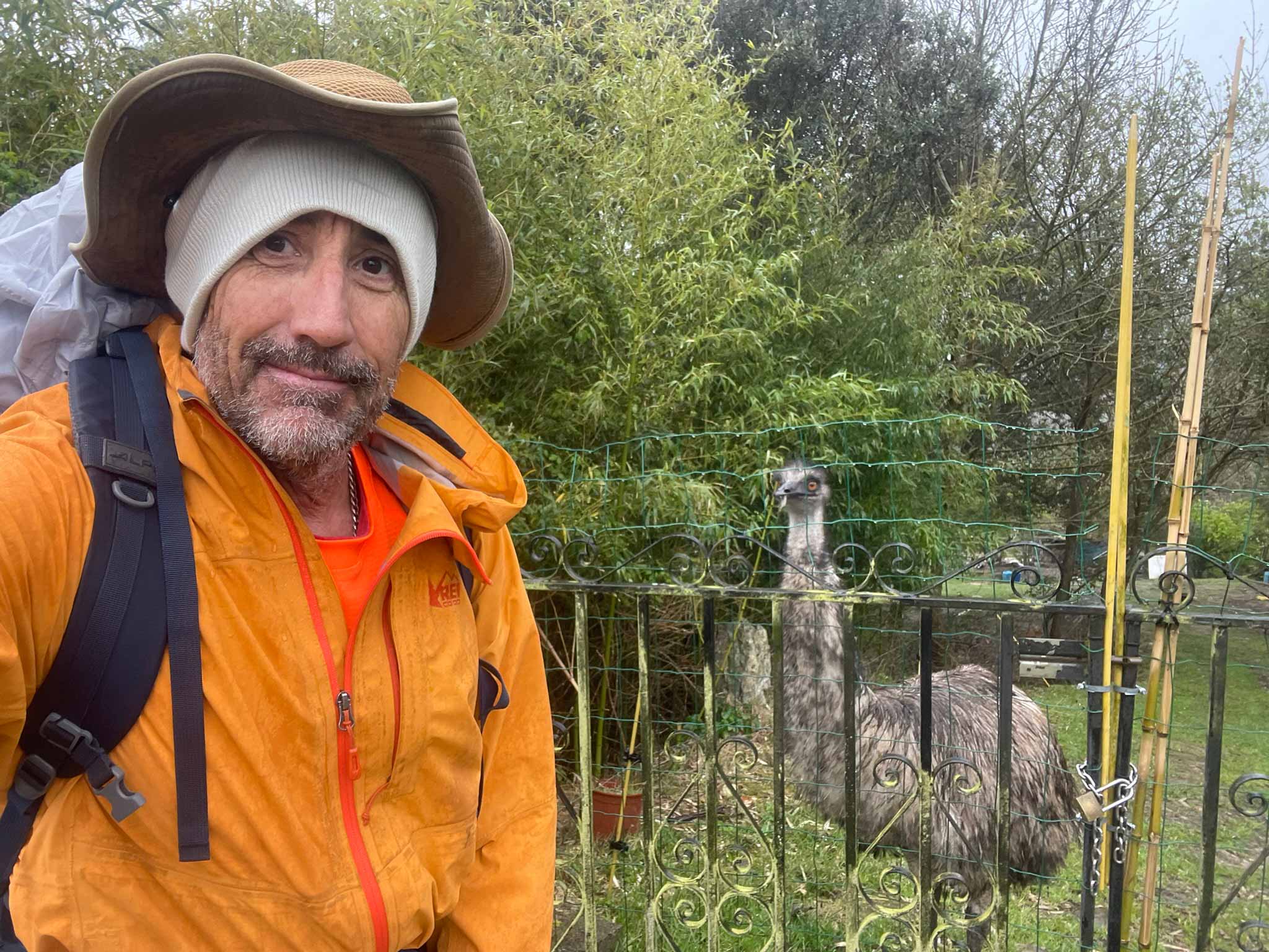 The rain didn't seem to bother this emu