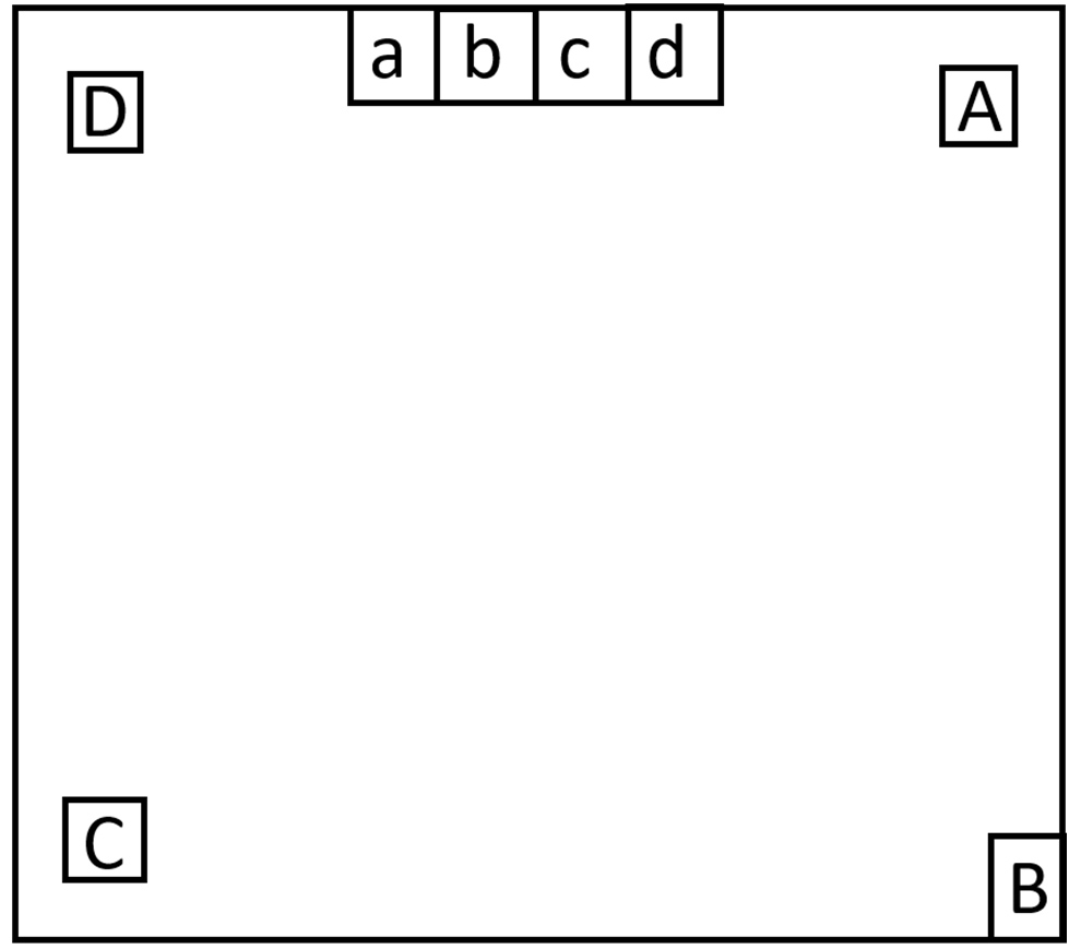 Logic puzzle – path-crossing grid