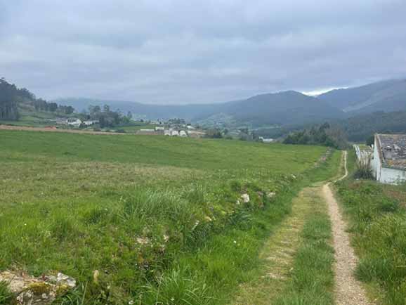 typical landscape on this higher elevation section of the camino del norte