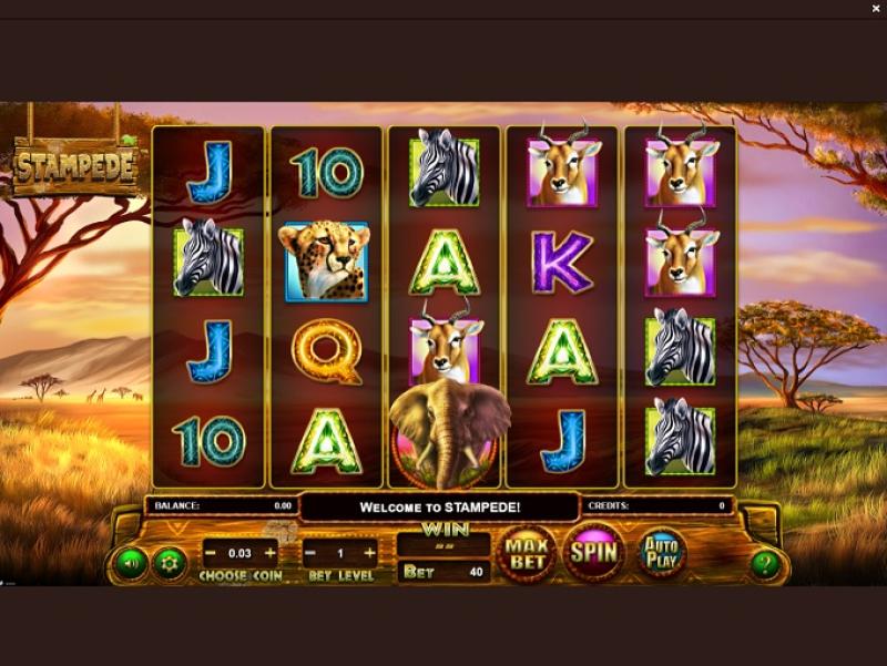 WizBet_Casino_new_Game_2.jpg