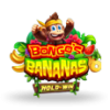 Bongos Bananas