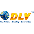 Dlv logo (1)